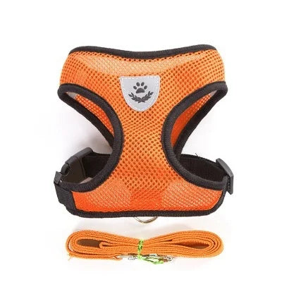 Comfortable Pet Harness with Leash