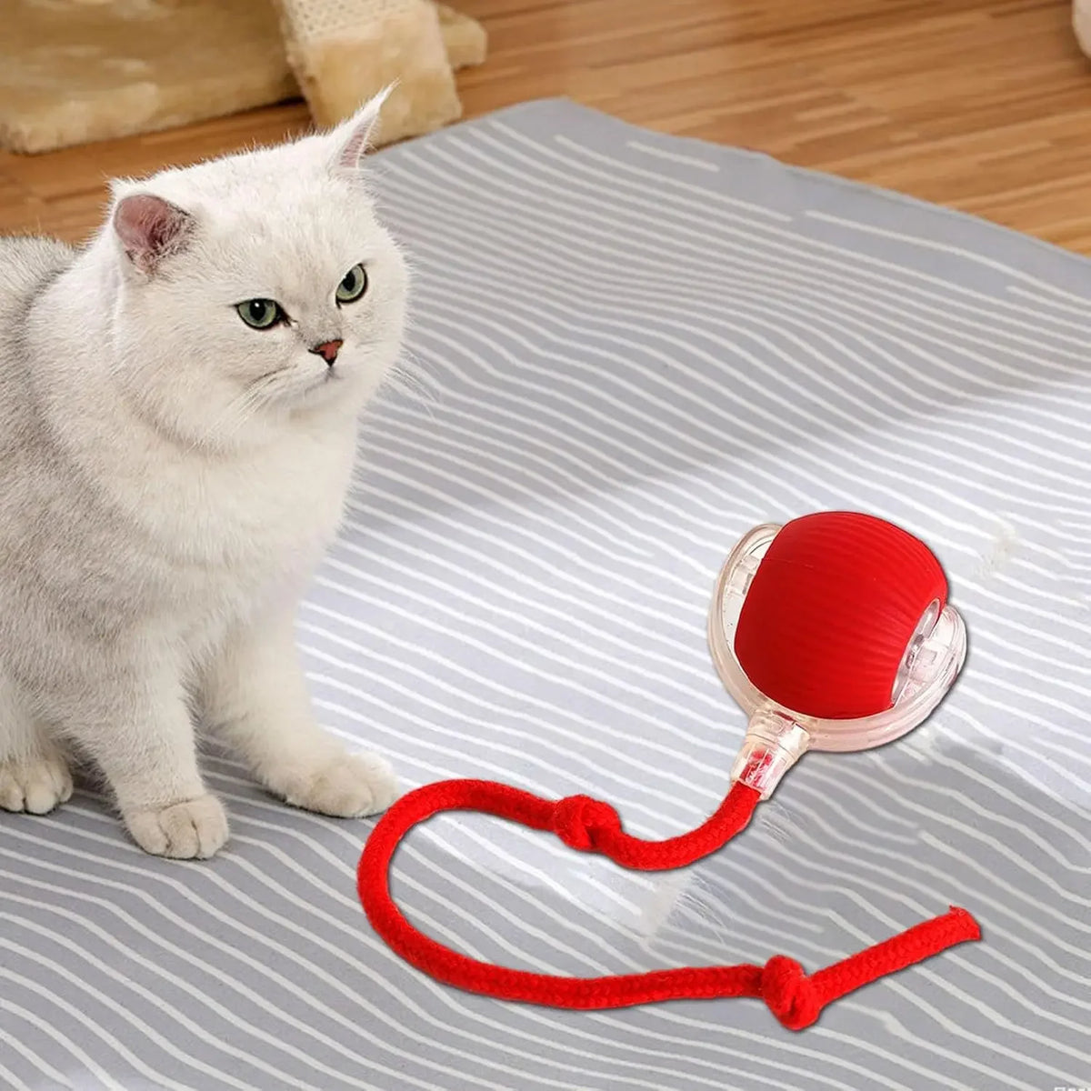 Auto-Wake Smart Ball Toy