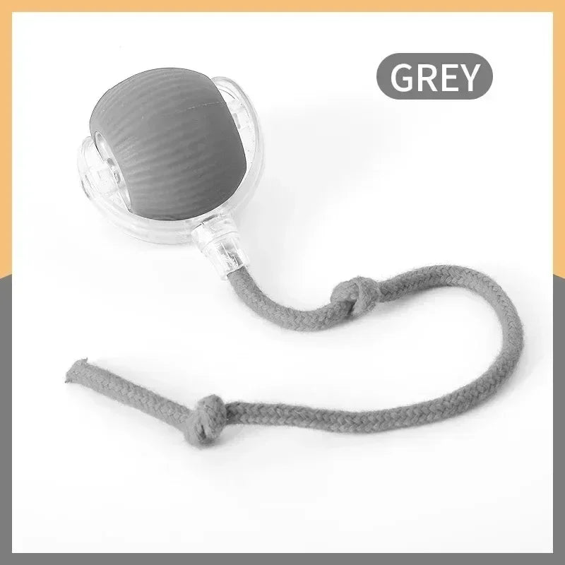 Auto-Wake Smart Ball Toy