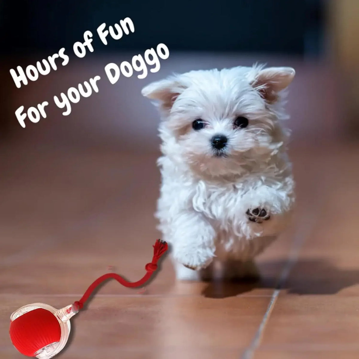 Auto-Wake Smart Ball Toy