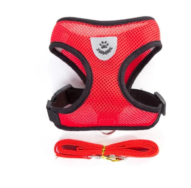 Comfortable Pet Harness with Leash