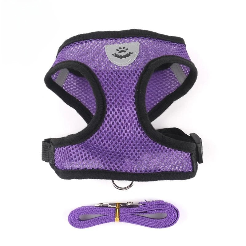 Comfortable Pet Harness with Leash