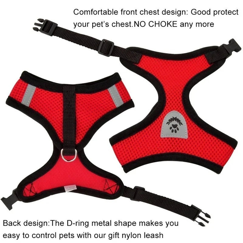 Comfortable Pet Harness with Leash