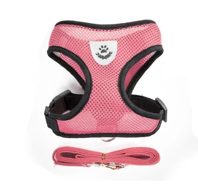 Comfortable Pet Harness with Leash