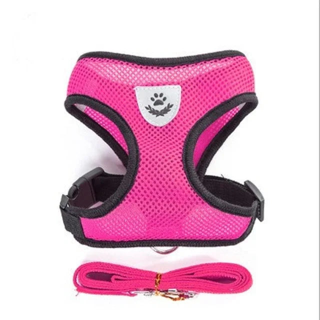 Comfortable Pet Harness with Leash
