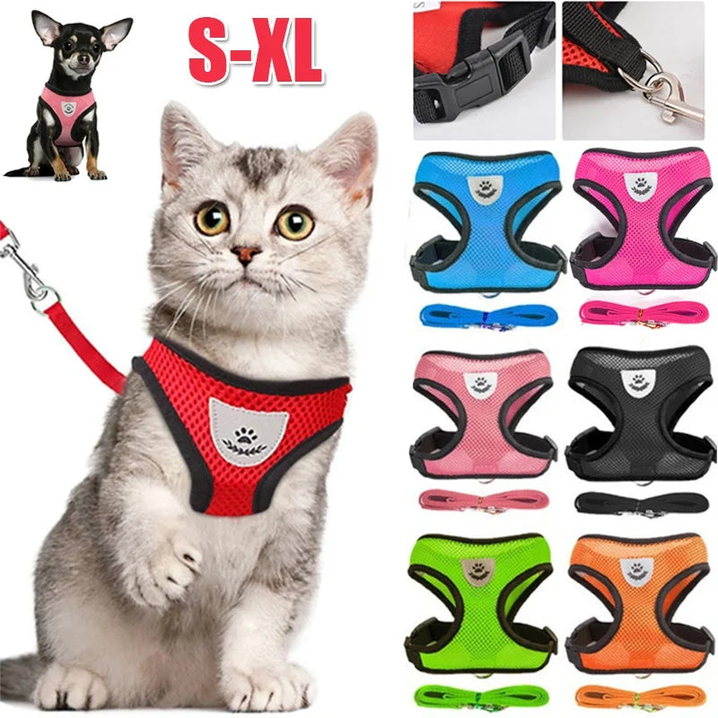 Comfortable Pet Harness with Leash