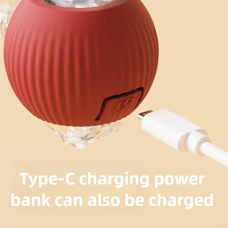 Auto-Wake Smart Ball Toy