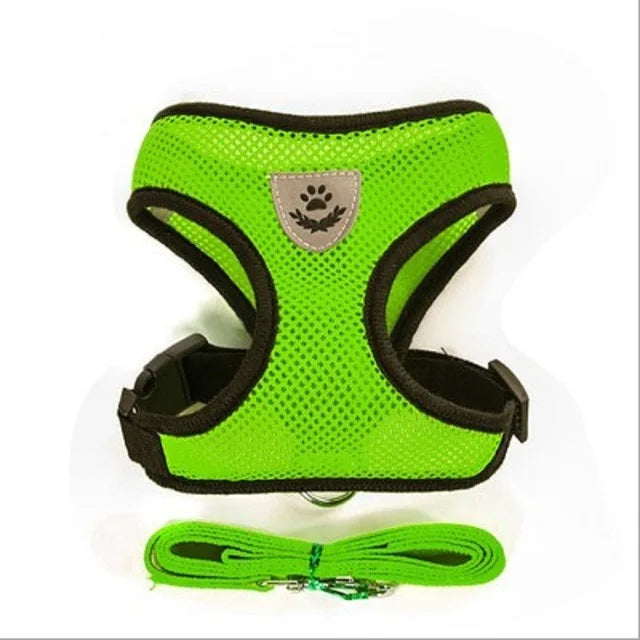 Comfortable Pet Harness with Leash