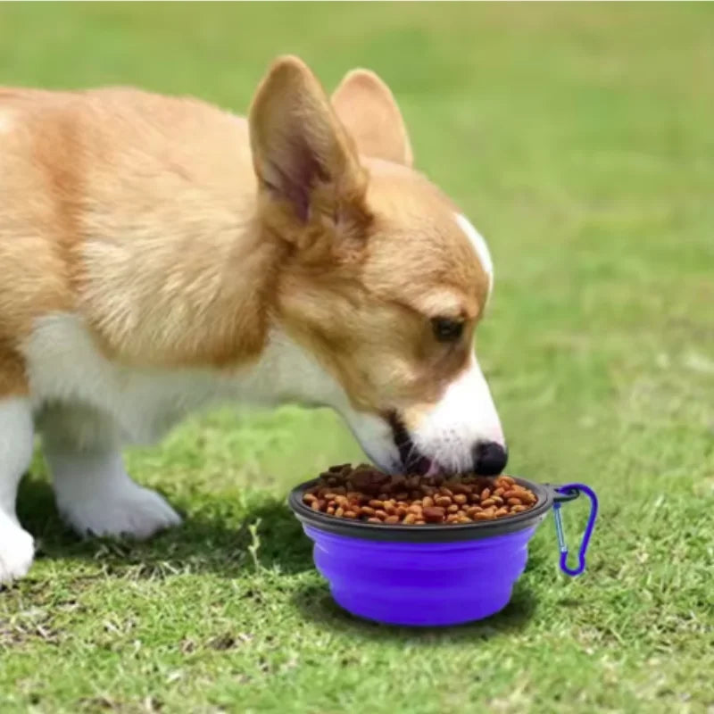 Collapsible Travel Pet Bowl