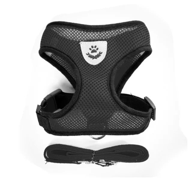 Comfortable Pet Harness with Leash