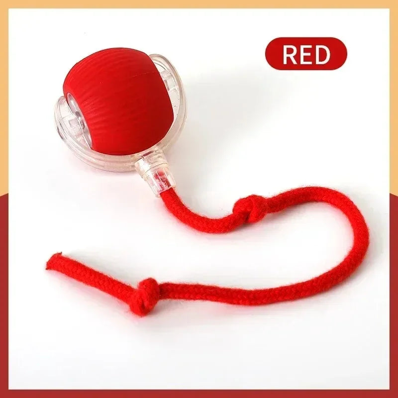 Auto-Wake Smart Ball Toy
