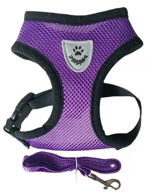Comfortable Pet Harness with Leash