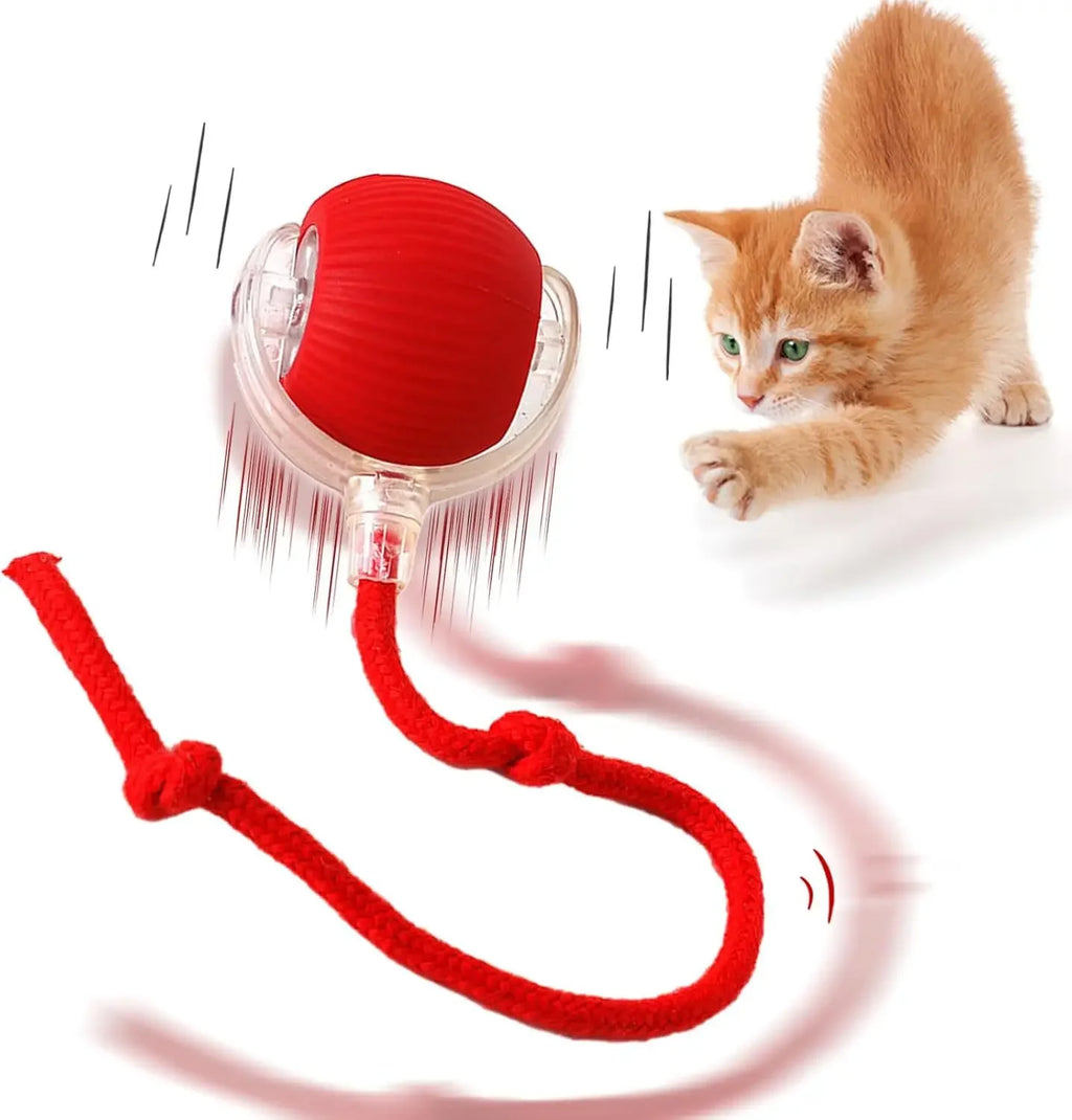 Auto-Wake Smart Ball Toy