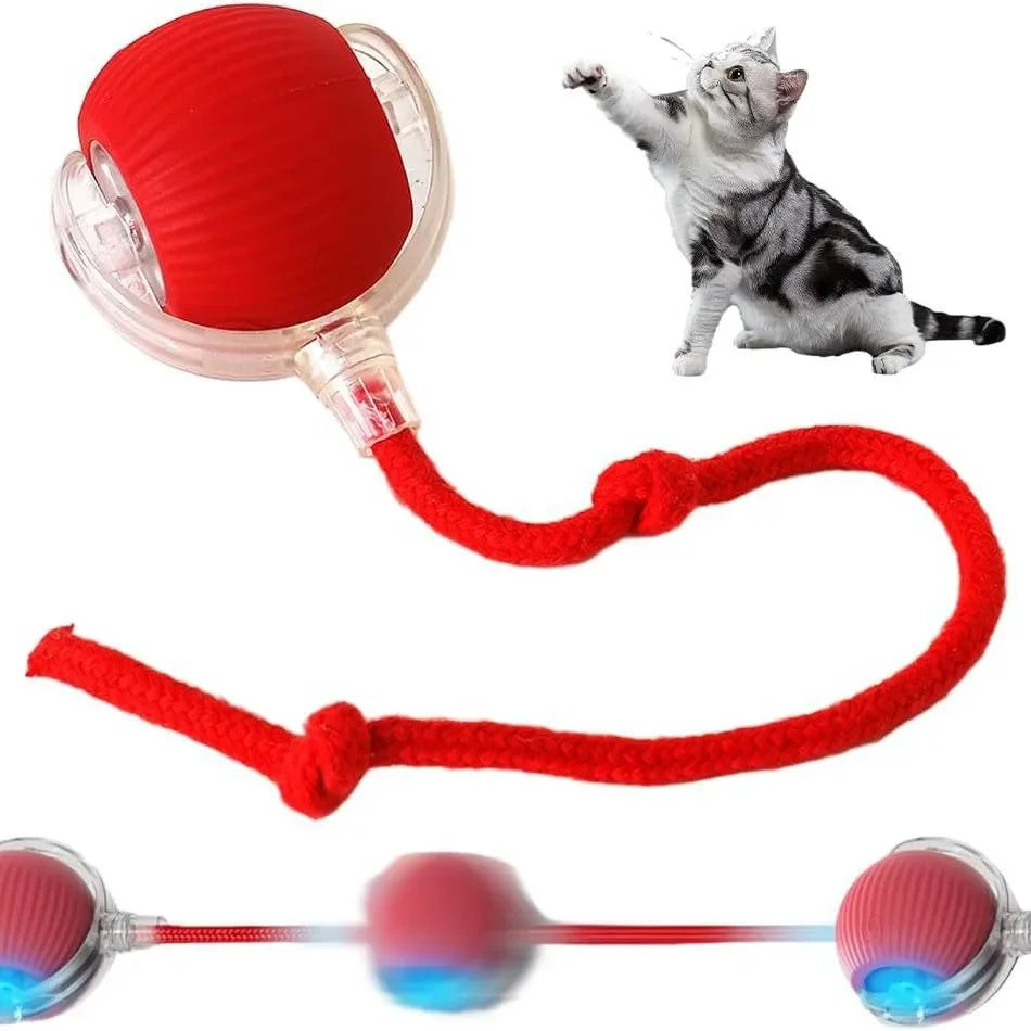 Auto-Wake Smart Ball Toy